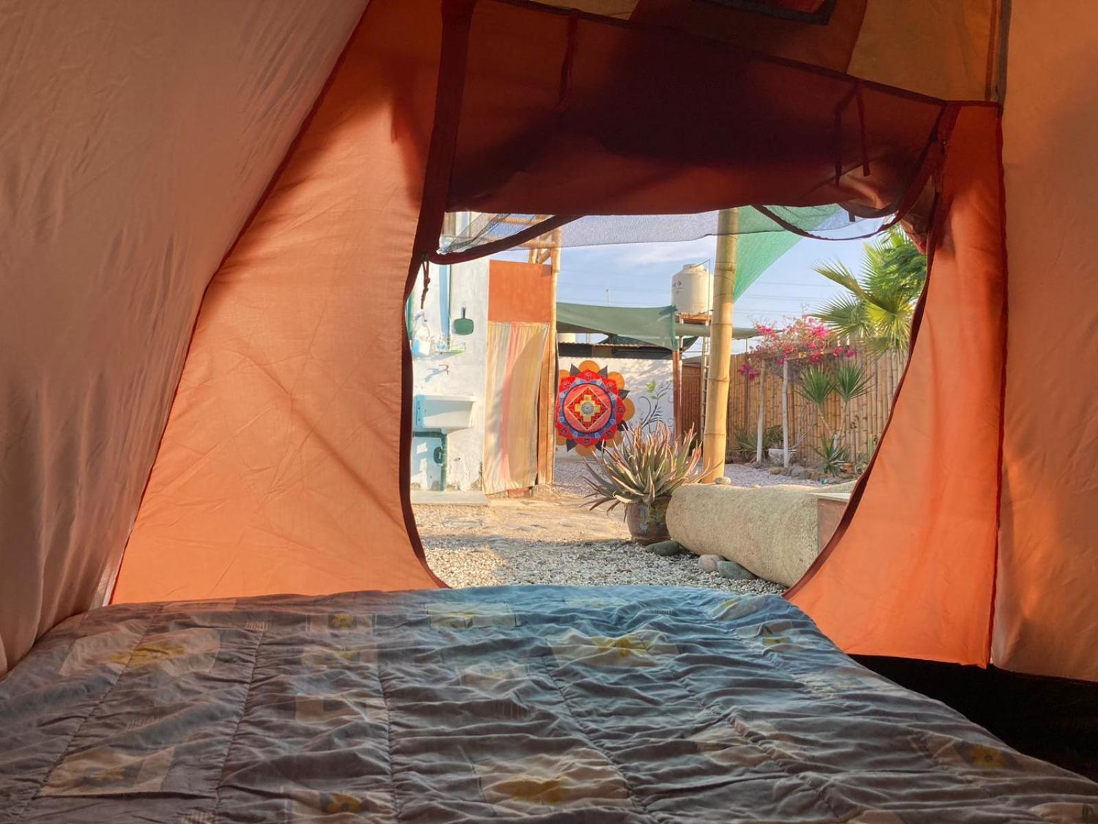Paracas Camp Lodge & Experiences Exterior photo